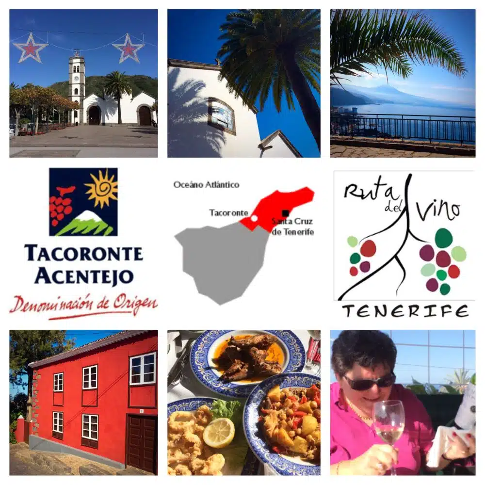 Wijngebied Tacoronte-Acentejo