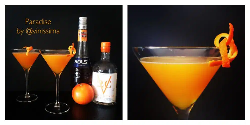 Cocktail Paradise
