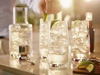 4047886_2_preview Dutch Mule