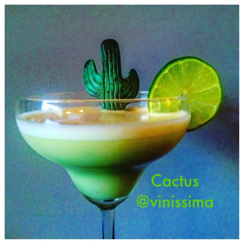 Cocktail Cactus