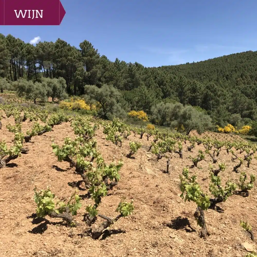 DOP Sierra de Salamanca