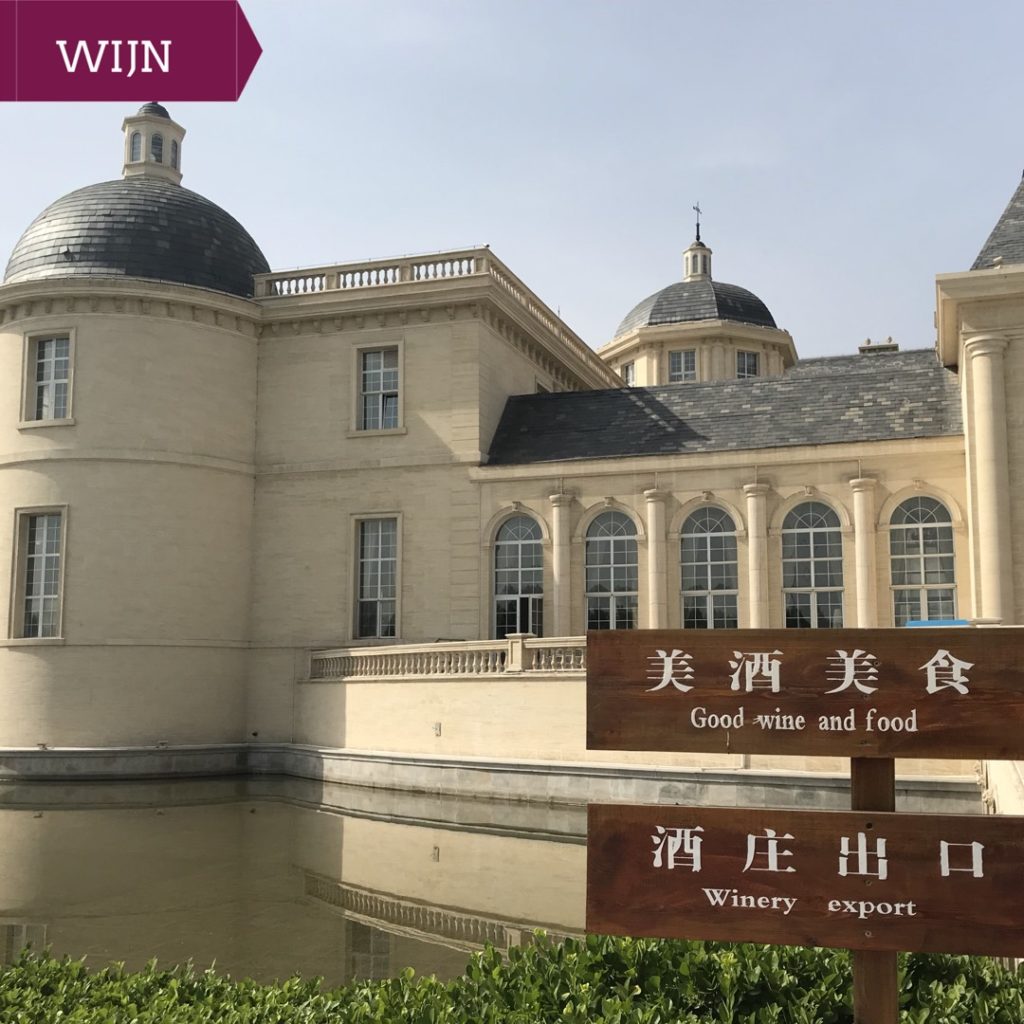 Ningxia Wine Tour