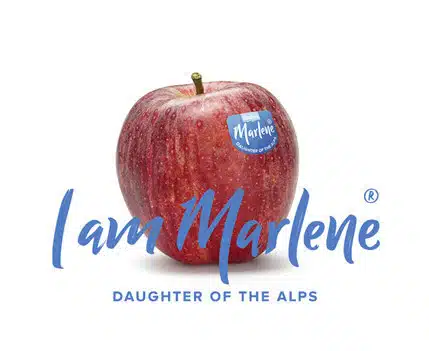 Marlene apples