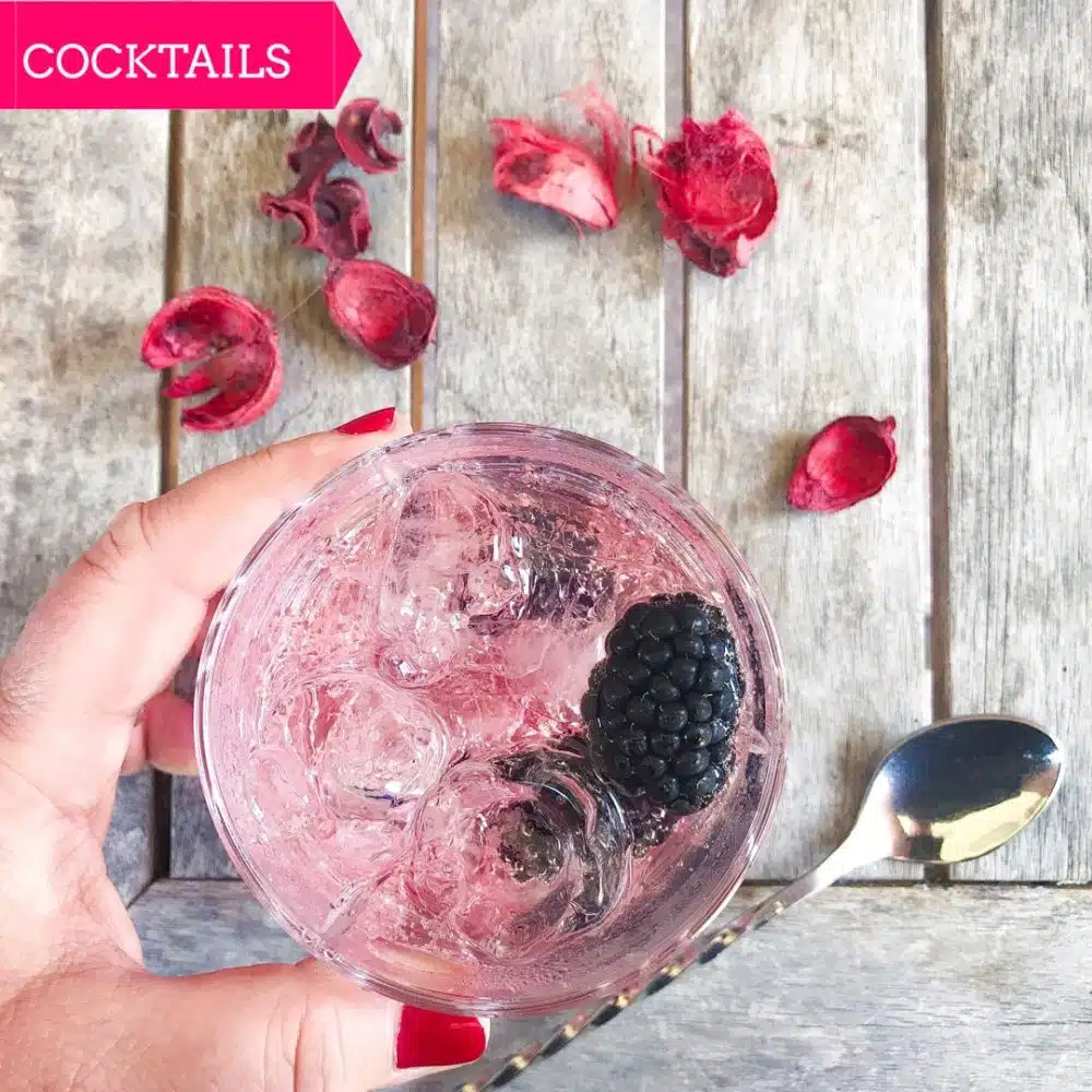 Monkey 47 en Schweppes tonic hibiscus