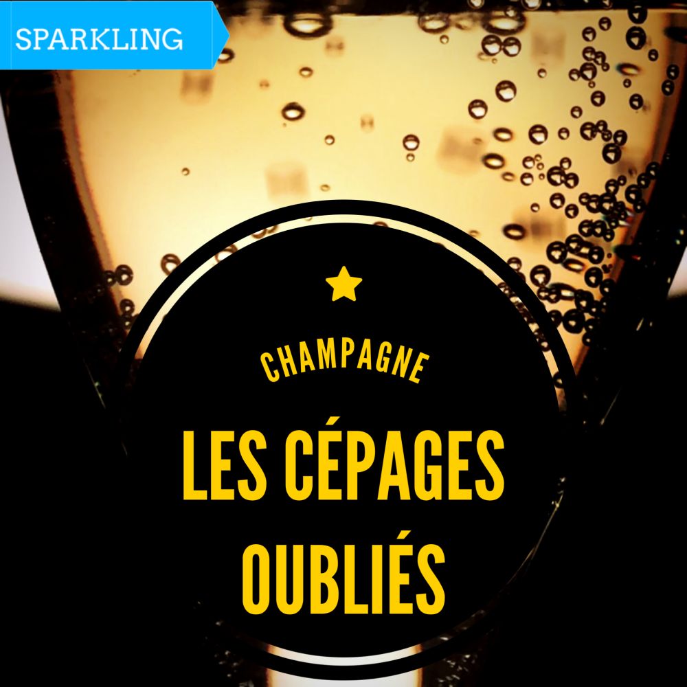 Champagne - Les cépages oubliés