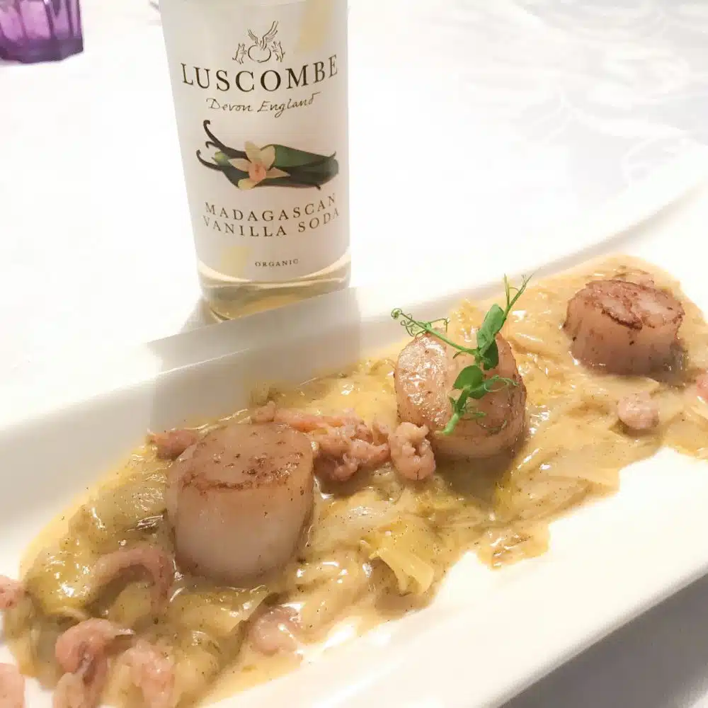 Luscombe vanilla soda en coquilles