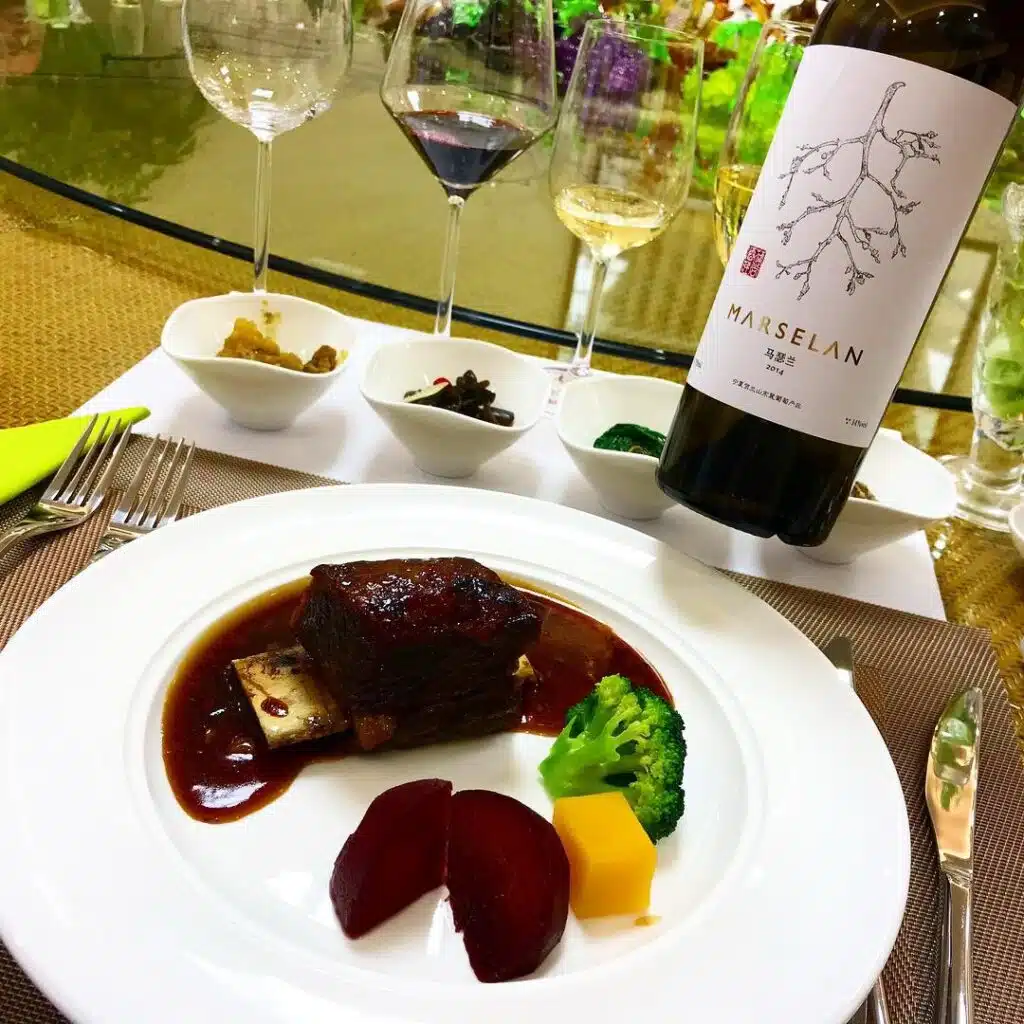 2014 Domaine Pu Shang marselan in Ningxia - China