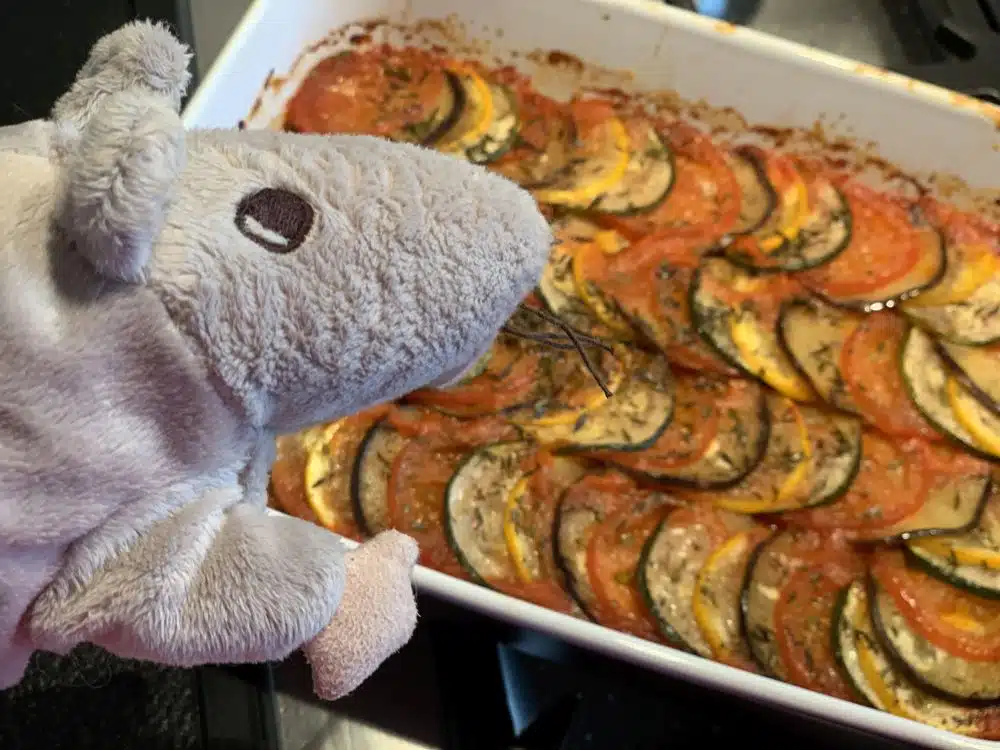 Rémy inspecteert zijn ratatouille