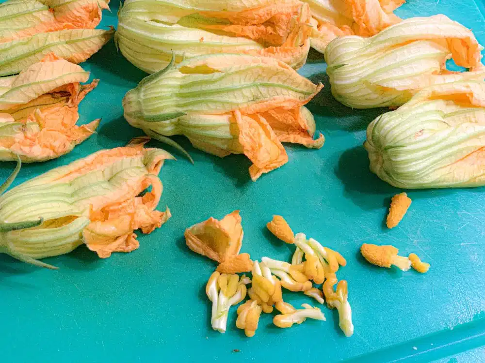 stampers van courgettebloemen verwijderen