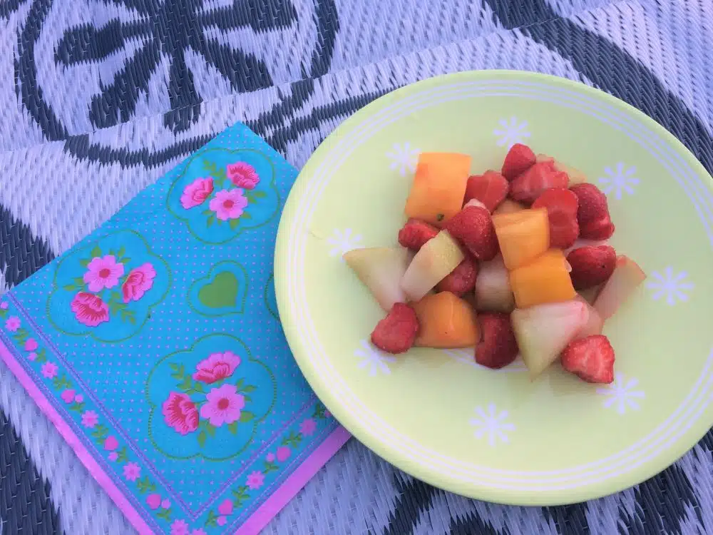 picknick – fruitsalade picknick - fruitsalade