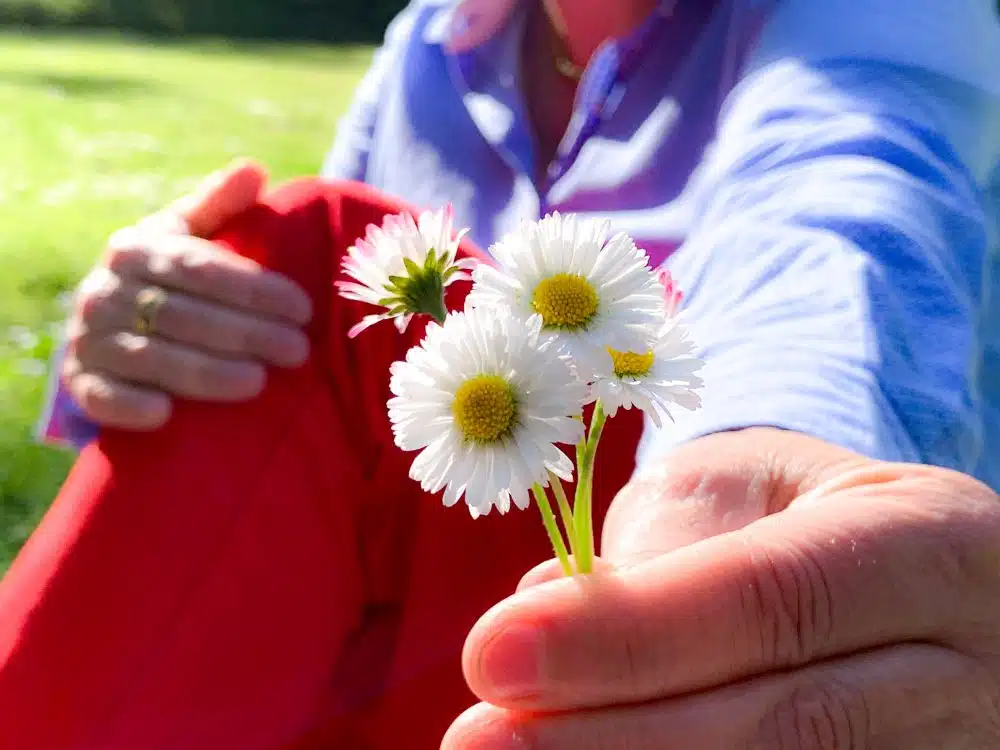 romantische picknick – bloemetje