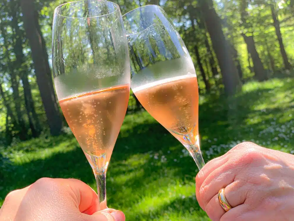 romantische picknick in het bos