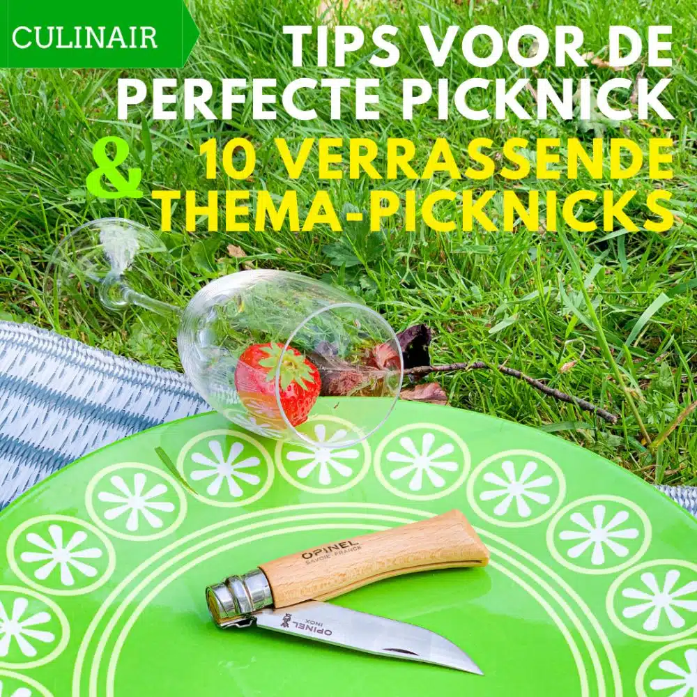tips voor de perfecte picknick