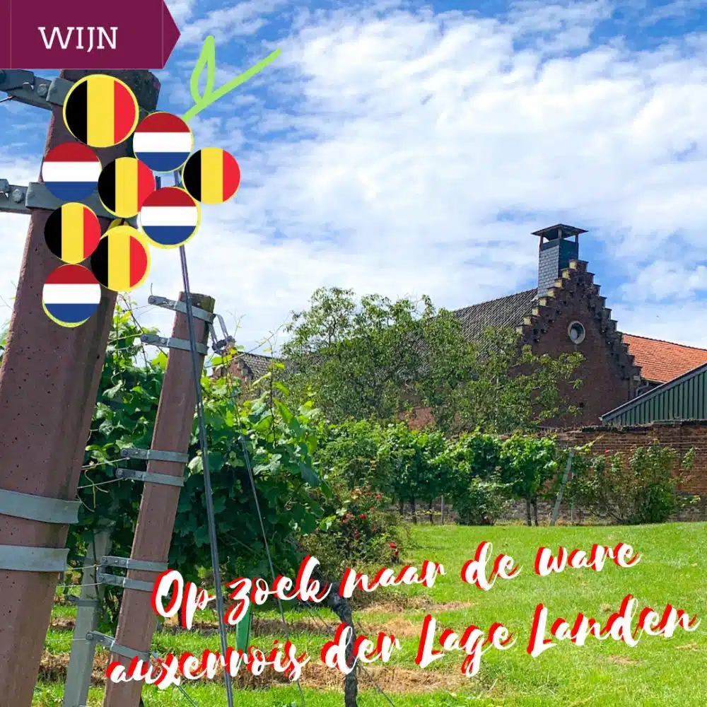 op zoek naar de ware auxerrois der Lage Landen