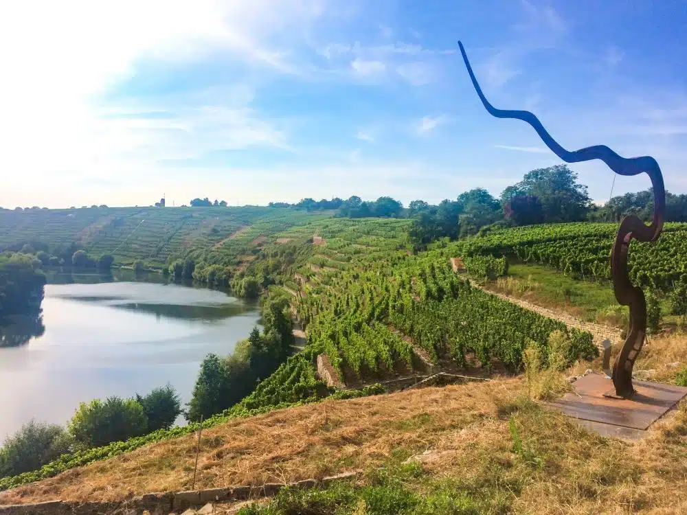 Weinterrasse Kirchheim am Neckar