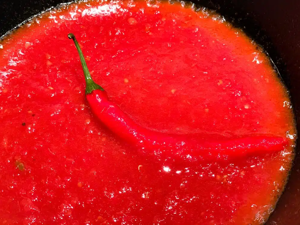 amatriciana amatriciana