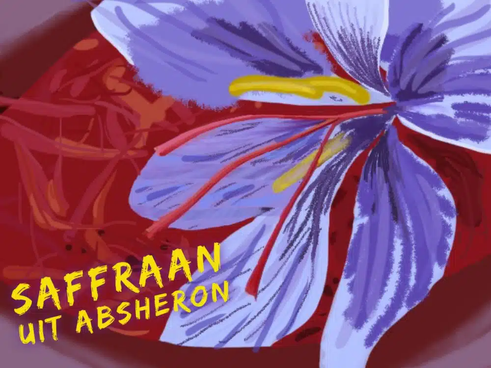 Saffraan uit Absheron Saffraan uit Absheron