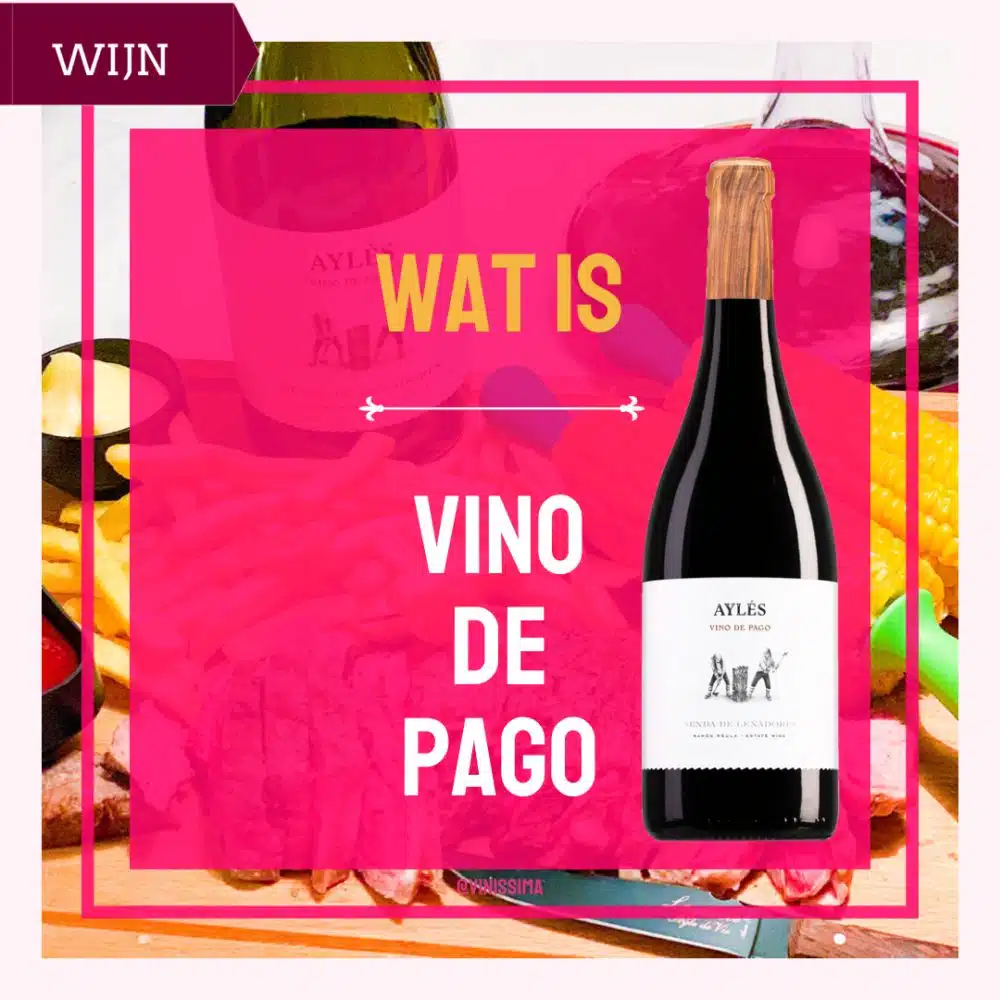 Wat is Vino de Pago