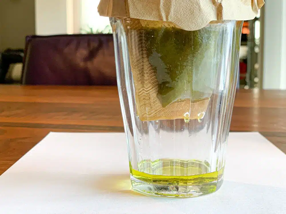 Borage-olie maken