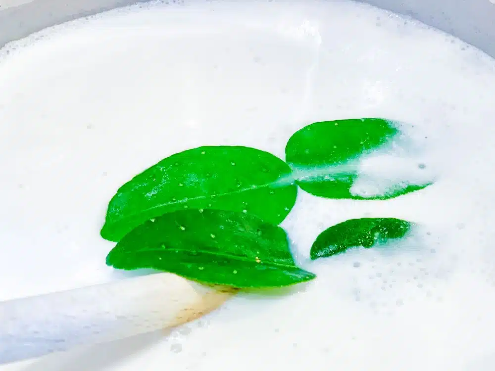 Kokosrijst met Kaffir Lime Leaves