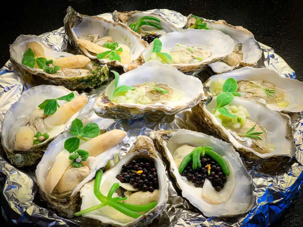 Trio van oesters op schaal