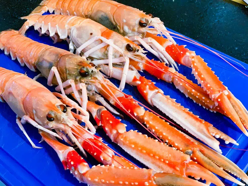Langoustines