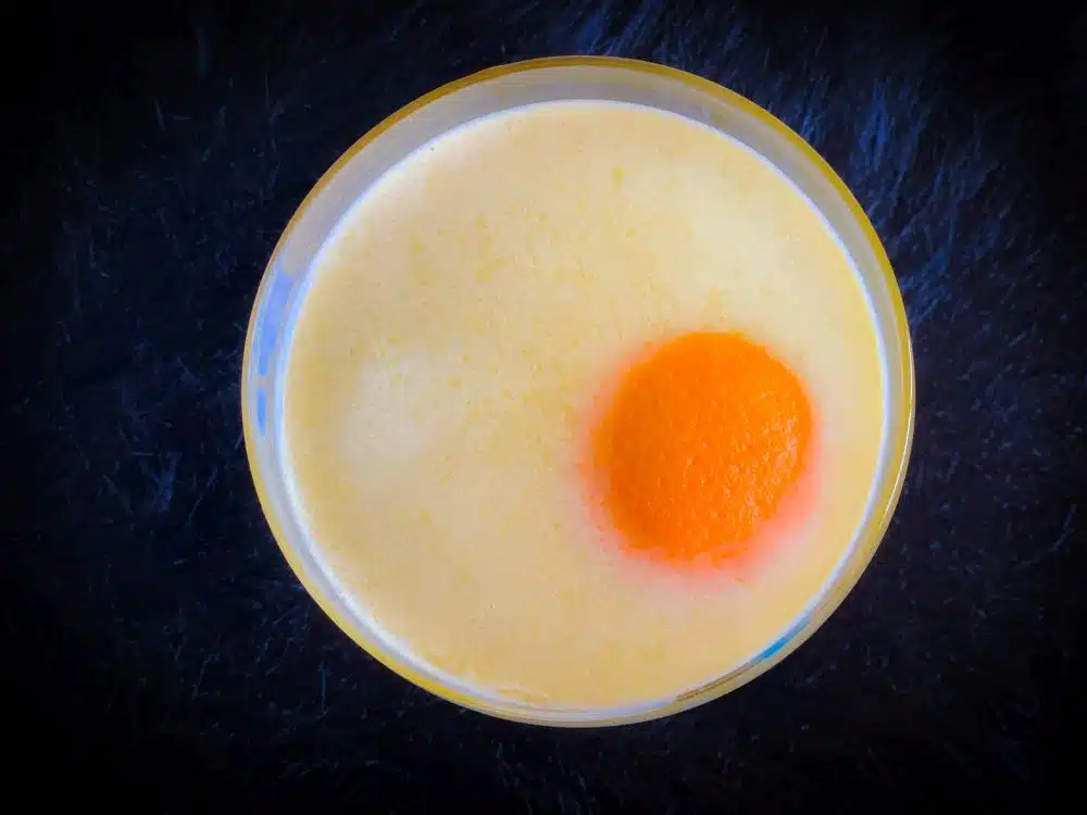Ontbijtcocktail - gebakken eitje - Amsterdam Cocktail