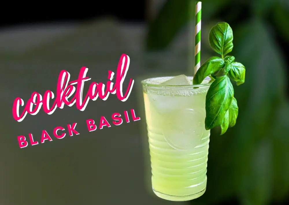 Cocktail Black Basil