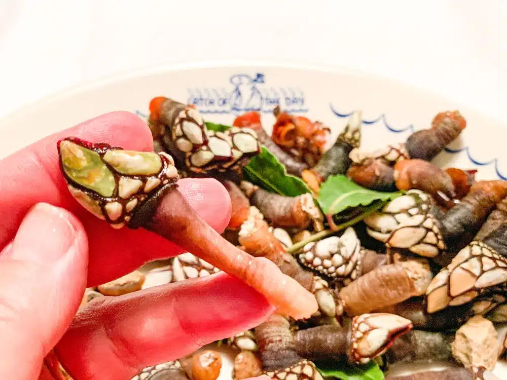 Eendenmosselen eten