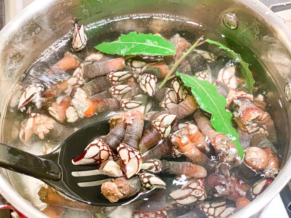 Eendenmosselen koken in water met laurier