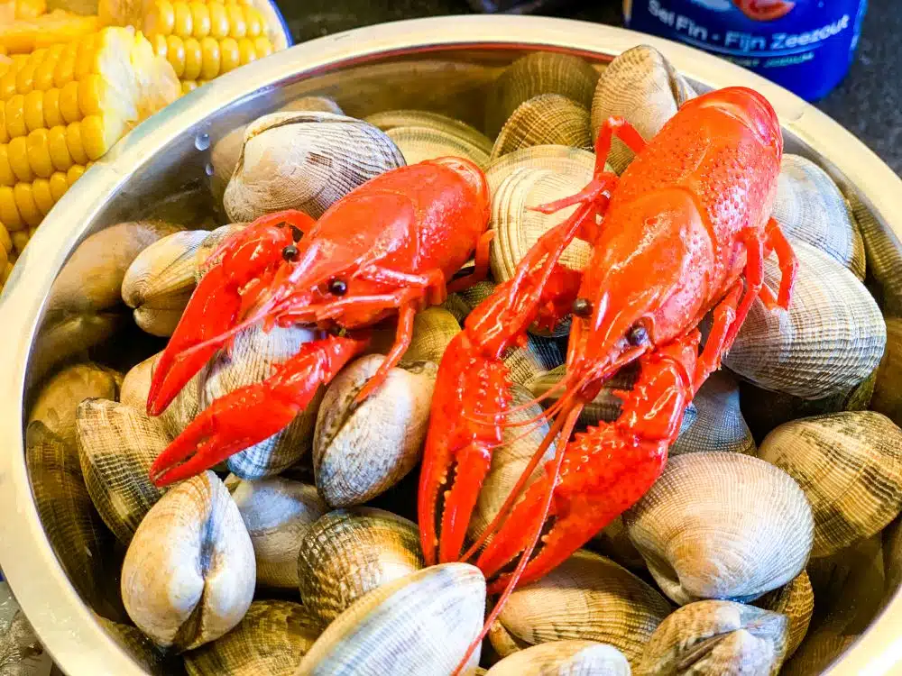 schelpen en rivierkreeft voor New England Clambake