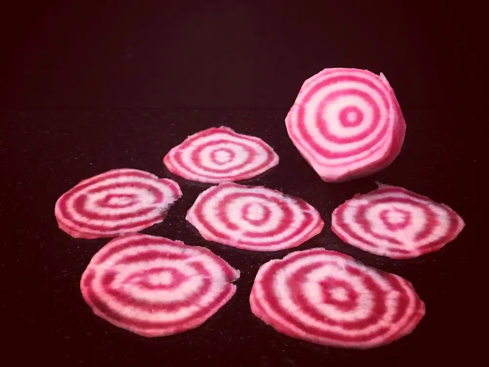 Chioggiabietjes