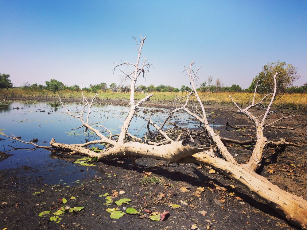 Botswana - Okavango Delta - tak