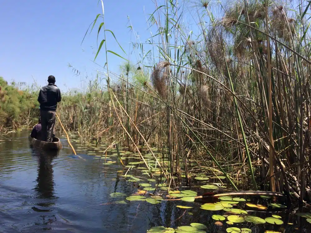 Botswana – varen over de Okavango Delta