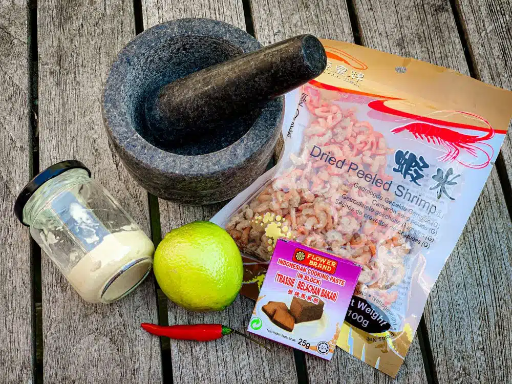 Ingrediënten tempoyak-dipsaus