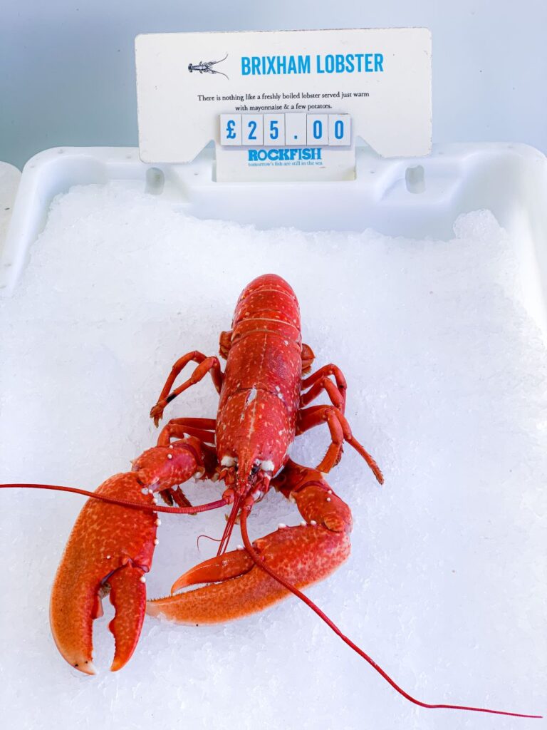 Brixham Lobster