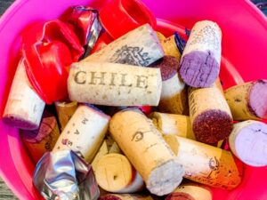 Chileense wijnen