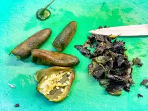 geroosterde chilipepertjes ontvellen