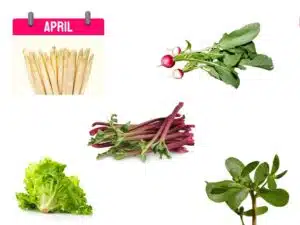 seizoenskalender april