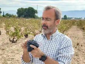 Barahonda - Alfredo Candela Belda met monastrell in Campo Arriba Yecla