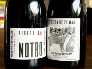 Roberto Henríquez – Rivera del Notro en Tierra de Pumas Roberto Henríquez - Rivera del Notro en Tierra de Pumas