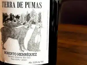 Roberto Henríquez – Tierra de Pumas Roberto Henríquez - Tierra de Pumas