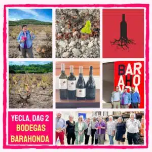 Yecla dag 2 - Bodegas Barahond