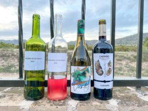 bio-wijnen van Castaño in Yecla