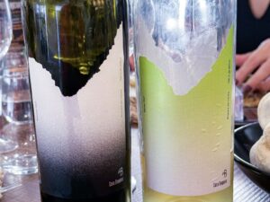 etiket Casa Boquera - wijngaard tussen twee bergen