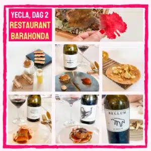 lunch restaurant Bodegas Barahonda