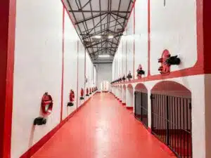 oude betoncuves van Bodegas Barahonda