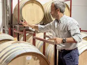 vatmonster monastrell bij Barahonda