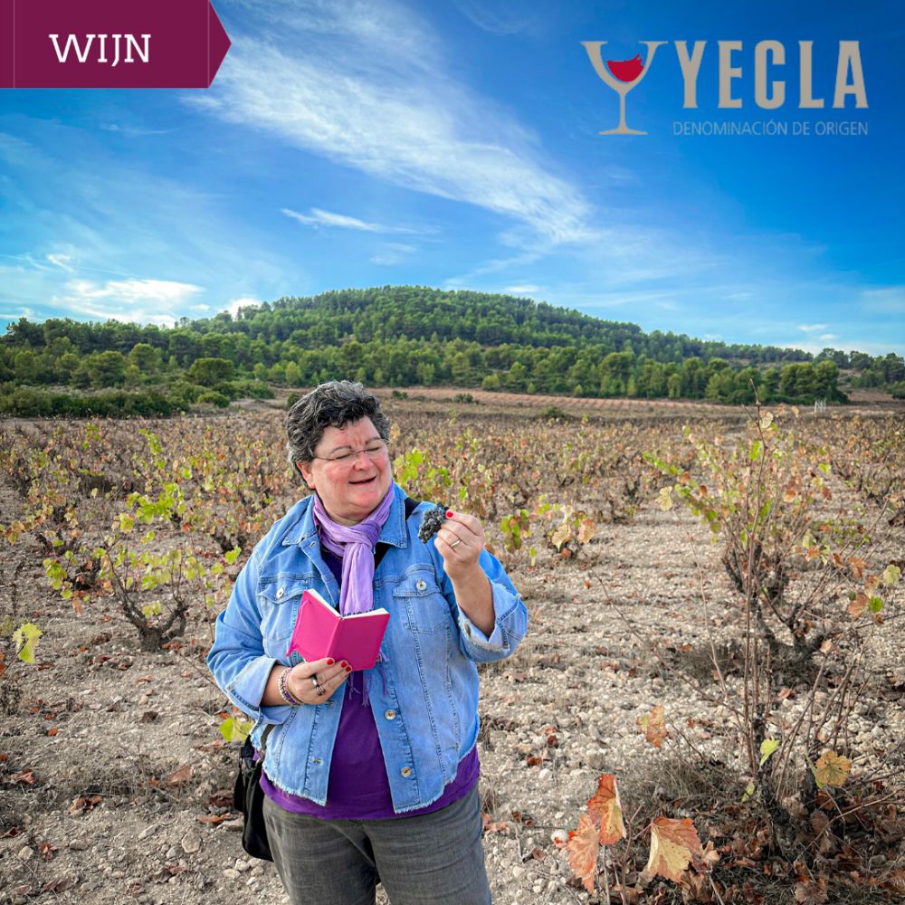 vinissima op zoek naar de monastrell in het Spaanse wijngebied Yecla