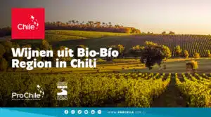 Wijn uit Bio-Bío Wijn uit Bio-Bío